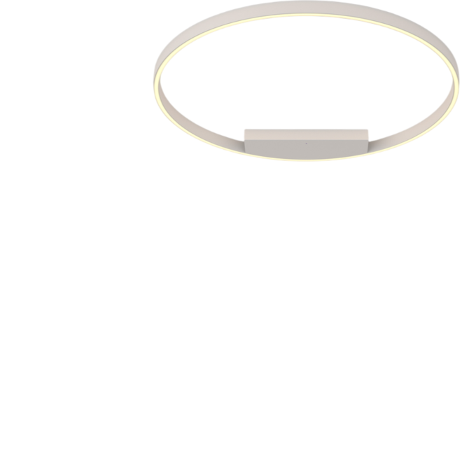 Потолочный светильник MAYTONI RIM MOD058CL-L50W3K